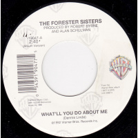 Forester Sisters the - What'll You Do About Me / Men